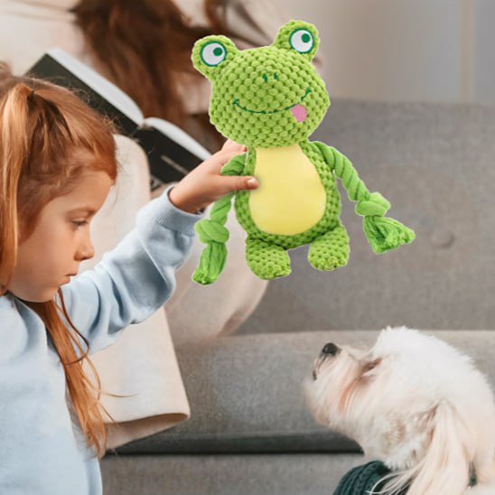 Une petite fille tend une peluche pour chiens grenouille à un petit chien blanc à poil long.