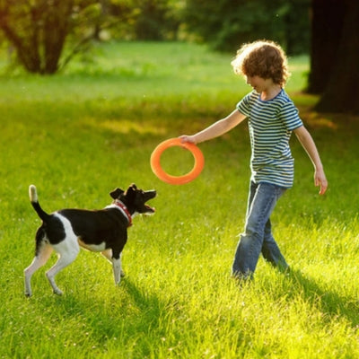 Enfant jouant au frisbee avec un petit chien noir et blanc, jouet chien orange.