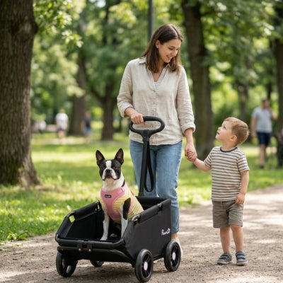 Femme et enfant au parc avec un Boston Terrier assis dans une poussette pour chiens PawHut.