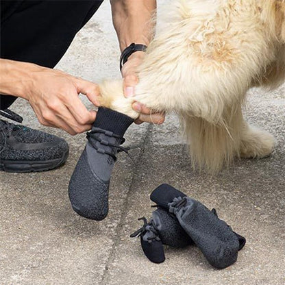 Mains d'un maître enfilant des chaussures pour chien grises à un Golden Retriever.