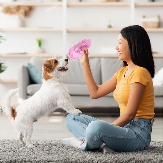 Femme assise au sol montrant un jouet pour chiens rose à un Jack Russell Terrier.