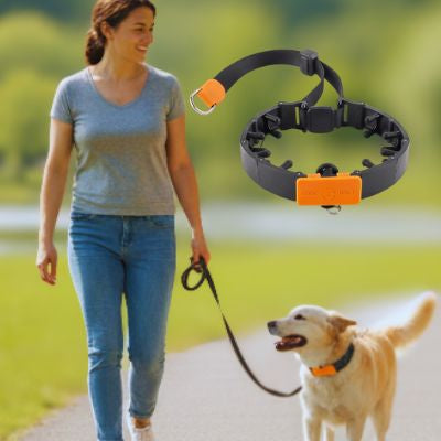 Femme souriante marchant dans un parc avec son chien de type Labrador équipé d'un collier étrangleur chien pour le dressage.
