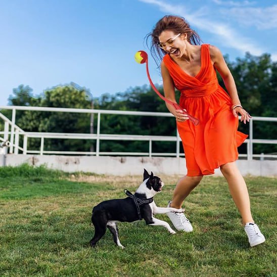 Femme en robe orange jouant avec un Boston Terrier et un lanceur de balle pour chien.