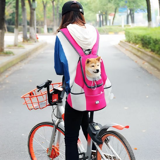 Femme à vélo avec un Shiba Inu dans un sac a dos chien rose et blanc.