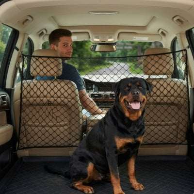 Rottweiler assis dans un coffre avec tapis de protection et filet chien voiture noir.