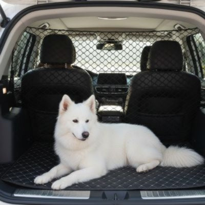 Samoyède blanc couché sur un tapis de coffre matelassé avec filet chien voiture en fond.