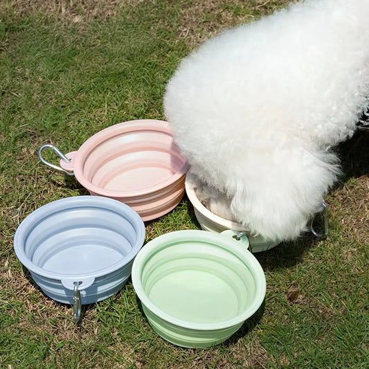 Bichon frisé mangeant dans une gamelle pour chien pliable parmi quatre coloris pastels.