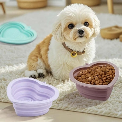 Petit chien type Shih Tzu entouré de trois gamelles chien pliables sur un tapis blanc.
