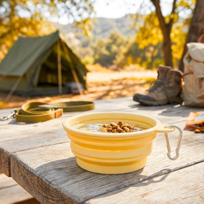 Gamelles chien pliables jaunes remplies de croquettes sur une table en bois en plein camping.