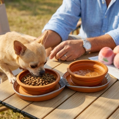 Chihuahua beige buvant de l'eau dans ses gamelles chien orange lors d'un pique-nique.