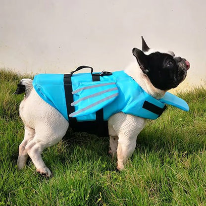 Profil d'un bouledogue français portant un gilet de sauvetage chien bleu ciel à ailes.