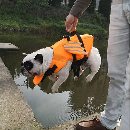 Personne portant un bouledogue français par la poignée de son gilet de sauvetage chien.