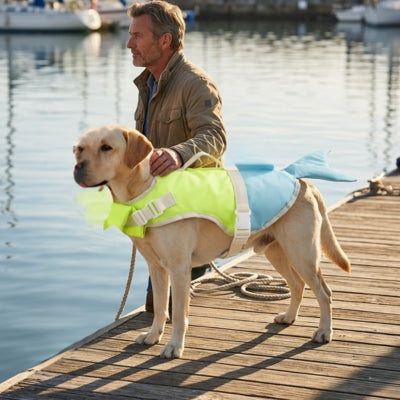 Labrador beige portant un gilet de sauvetage chiens jaune et bleu sur un quai de port.