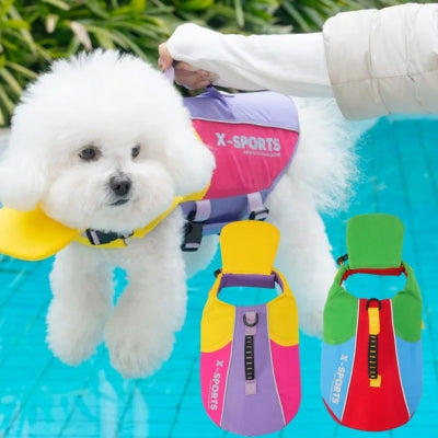 Bichon frisé porté par la poignée d'un gilet de sauvetage pour chien avec variantes de couleurs.