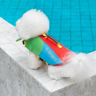 Vue de dos d'un Bichon avec un gilet de sauvetage pour chien rouge, vert et bleu marqué X-SPORTS.