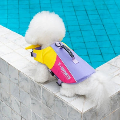 Vue de dos d'un Bichon en gilet de sauvetage pour chien violet, jaune et rose au bord de l'eau.