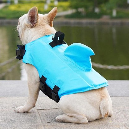 Vue arrière d'un bouledogue français portant un gilet de sauvetage chien bleu avec aileron.