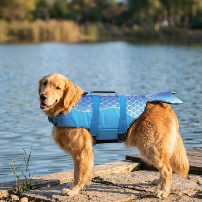 Golden Retriever de profil avec un gilet de sauvetage chiens bleu à motif sirène au bord de l'eau.