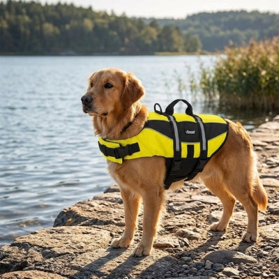 Golden Retriever debout sur des rochers avec un gilet de sauvetage chiens jaune.