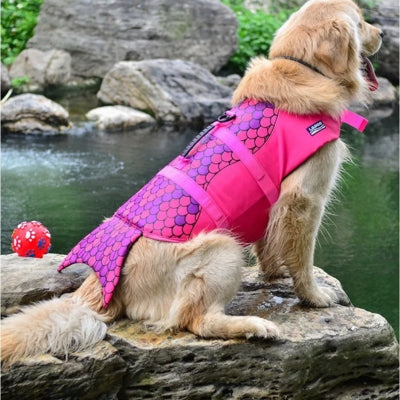Golden Retriever de dos portant un gilet de sauvetage chiens rose à écailles sur un rocher.