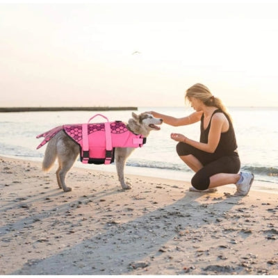 Chien Husky sur une plage avec un gilet de sauvetage chiens rose et une femme accroupie.