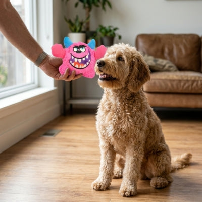 Main présentant un jouet pour chien monstre rose à un Golden Doodle assis dans un salon.