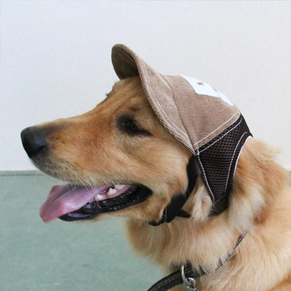 Golden Retriever de profil portant une des casquettes pour chiens beige et marron.