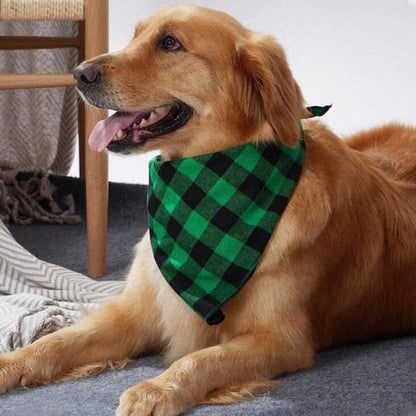 Golden Retriever couché de profil portant un bandana chien à carreaux verts et noirs.