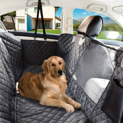 Chien Golden Retriever couché confortablement sur une housse pour voiture pour chien matelassée.