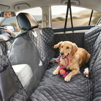 Golden Retriever avec un jouet corde sur une housse pour voiture pour chien, femme au volant.