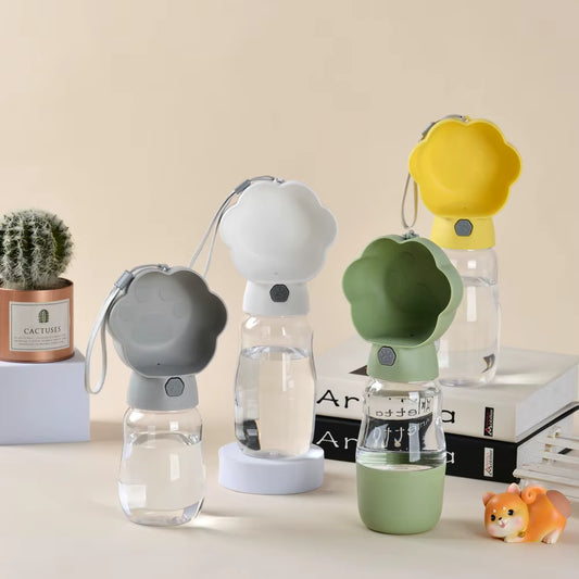 Quatre modèles de gourde chien (gris, blanc, vert, jaune) posés sur des livres.