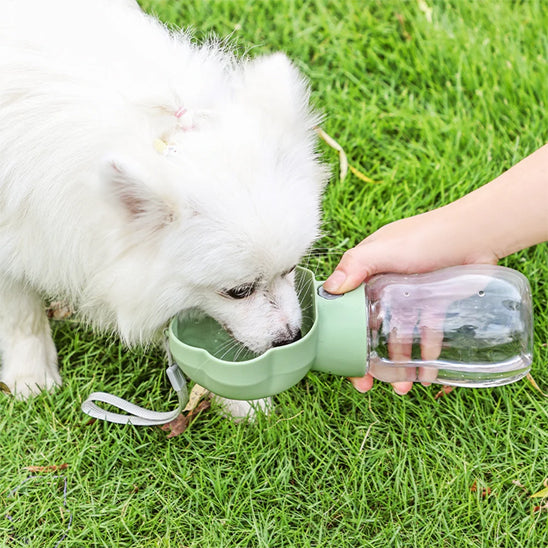 Spitz blanc buvant dans le bac en forme de patte d'une gourde chien verte.