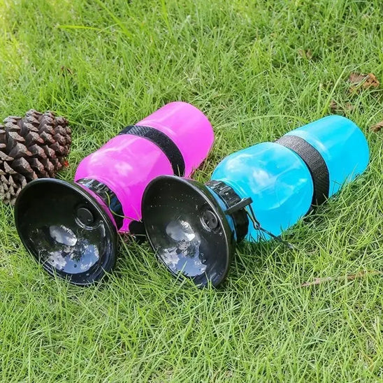 Deux gourdes pour chien, une rose et une bleue, posées sur l'herbe à côté d'une pomme de pin.