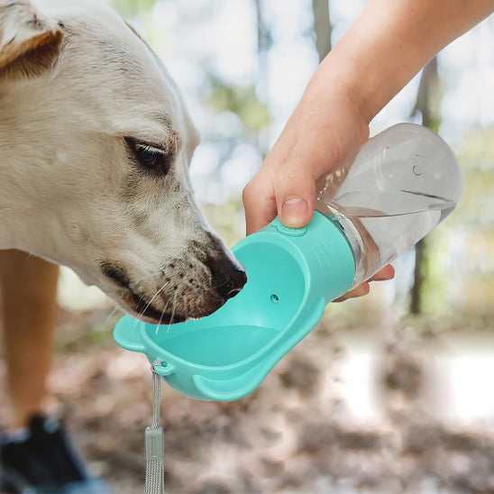Chien blanc buvant de l'eau dans le réceptacle bleu d'une gourde pour chien tenue à la main.
