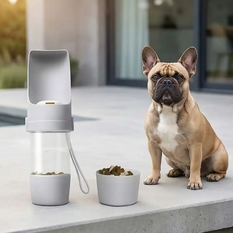 Gourde pour chien grise en gros plan au bord d'un cours d'eau en forêt.