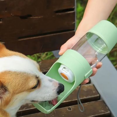 Corgi buvant dans le réservoir d'une gourde pour chien vert menthe.