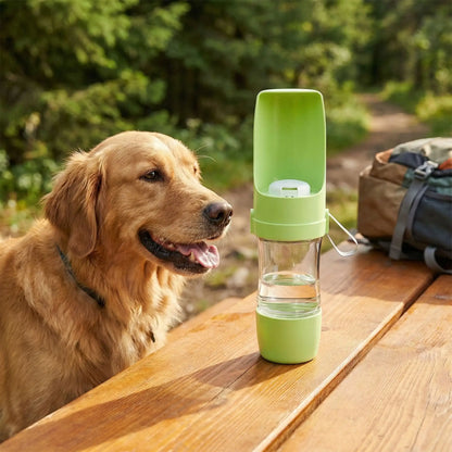 Golden Retriever regardant une gourde pour chien vert pomme sur une table en bois.