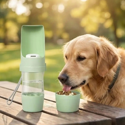 Golden Retriever mangeant à côté d'une gourde pour chien verte sur une table.