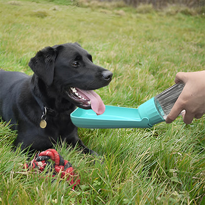 Labrador noir assis dans l'herbe buvant dans le bac d'une gourde pour chiens bleue.
