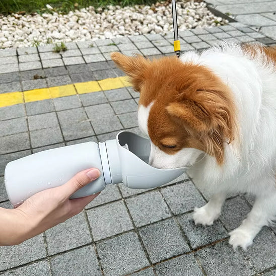 Gros plan d'un chien roux et blanc buvant dans une gourde pour chiens sur un trottoir en dalles.