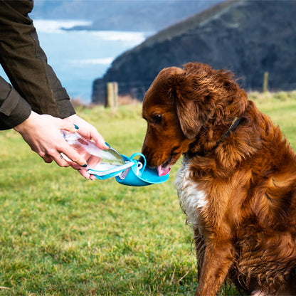 Setter Irlandais buvant dans une gourdes pour chien bleue tenue par une main en extérieur.