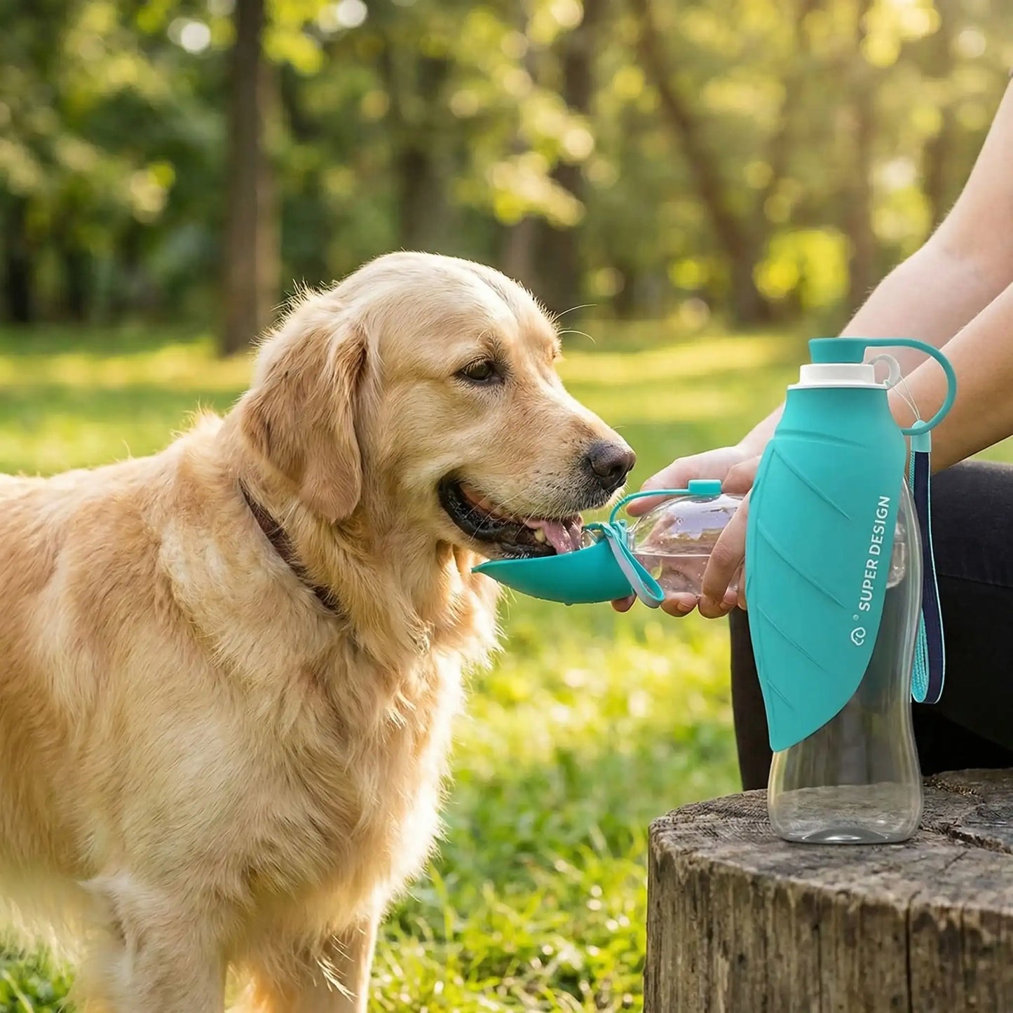 Golden Retriever et gourdes pour chien bleue avec inscription blanche SUPER DESIGN sur la feuille.