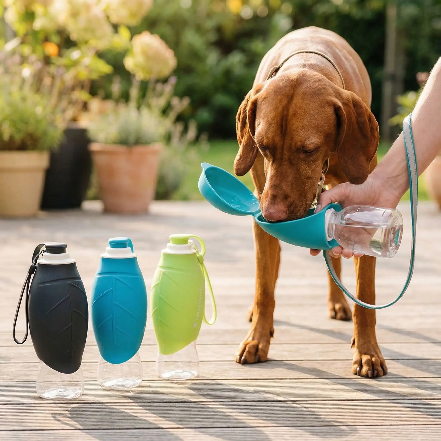 Vizsla buvant dans une gourdes pour chien bleue à côté de modèles noir, bleu et vert.
