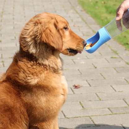Profil d'un Golden Retriever mangeant des friandises dans l'abreuvoir bleu des gourdes pour chiens.