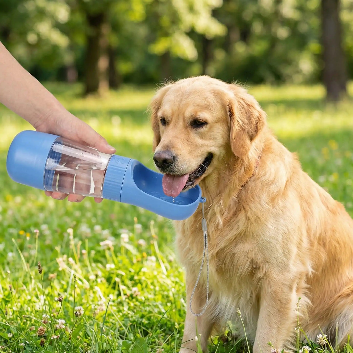 Personne servant de l'eau à un Golden Retriever avec l'une des gourdes pour chiens bleue.