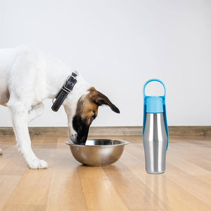 Chien Jack Russell buvant dans un bol à côté d'une gourdes pour chiens bleue posée sur le parquet.