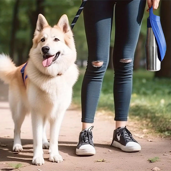 Femme marchant avec un Husky et tenant une gourdes pour chiens bleue par sa poignée intégrée.