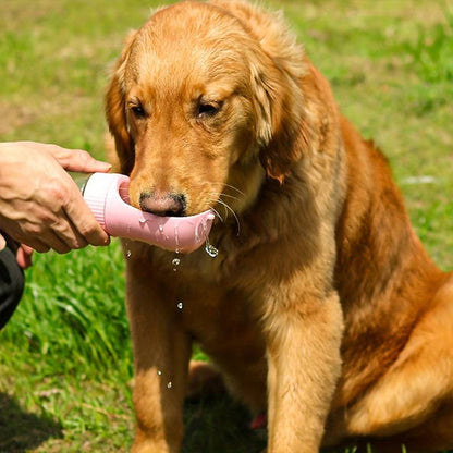 Golden Retriever buvant de l'eau directement dans le réceptacle rose des gourdes pour chiens.