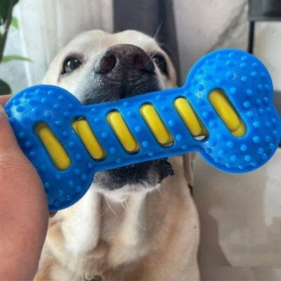 Gros plan d'un Labrador sable avec un jouet chien kong bleu aux alvéoles jaunes.