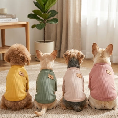 Quatre chiens de dos portant un pull chien de couleur jaune, vert, beige et rose avec patch ours.